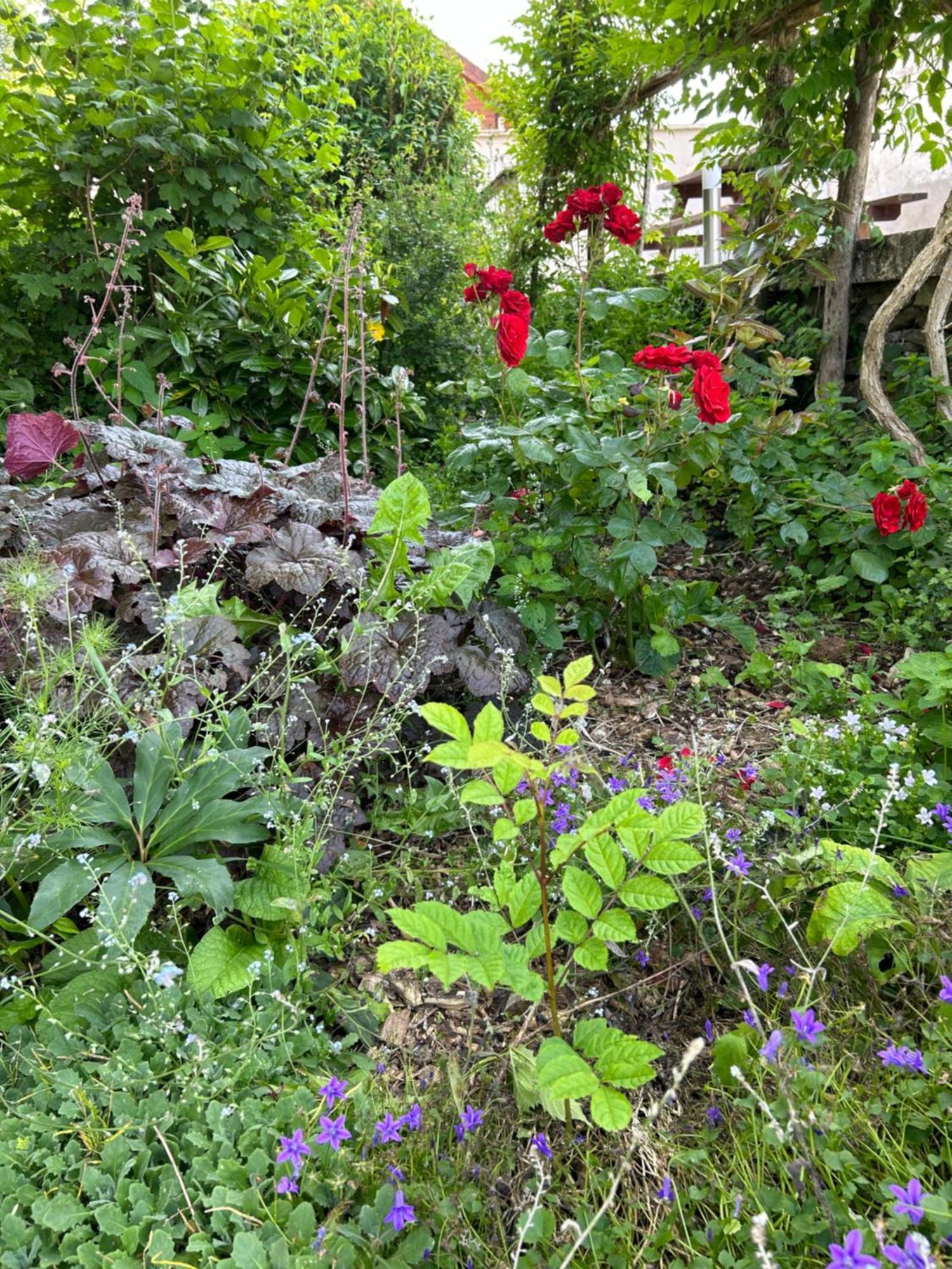 Pivoine Chambre D Hotes Fralignes Bagian luar foto